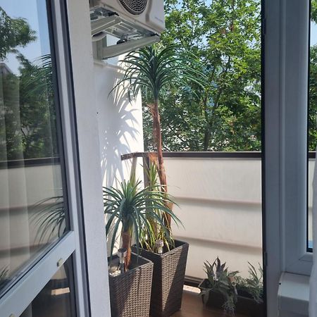 Apartman-Florianska Košice Exteriér fotografie